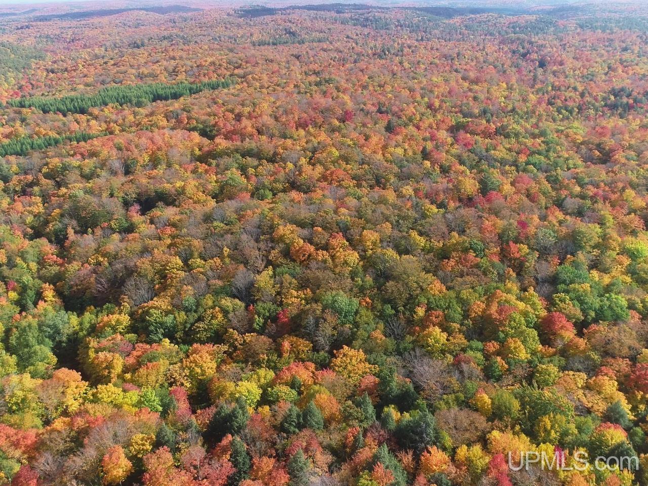 510 Rd Ishpeming Mi 49849 Road Ishpeming, MI 49849 - Photo 21 of 25 Gallery Image 21