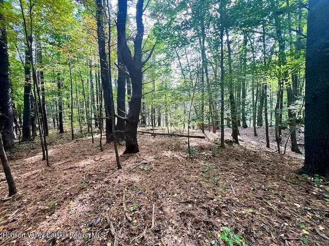 $150,000 | Tbd Whiteport Road, Kingston, NY 12401