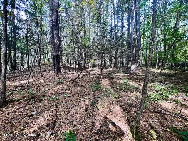 $150,000 | Tbd Whiteport Road, Kingston, NY 12401