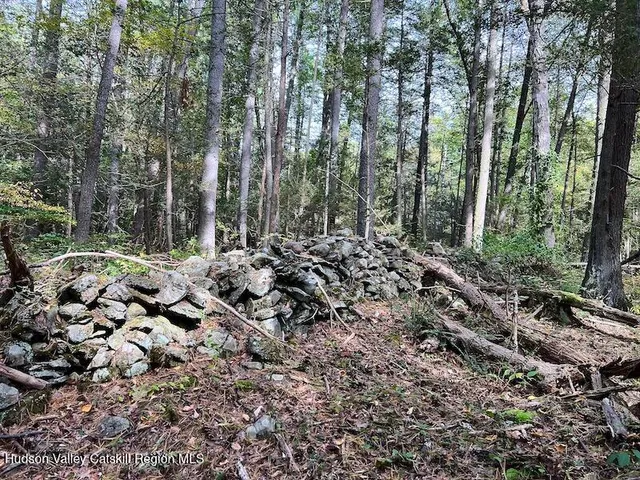 $150,000 | Tbd Whiteport Road, Kingston, NY 12401