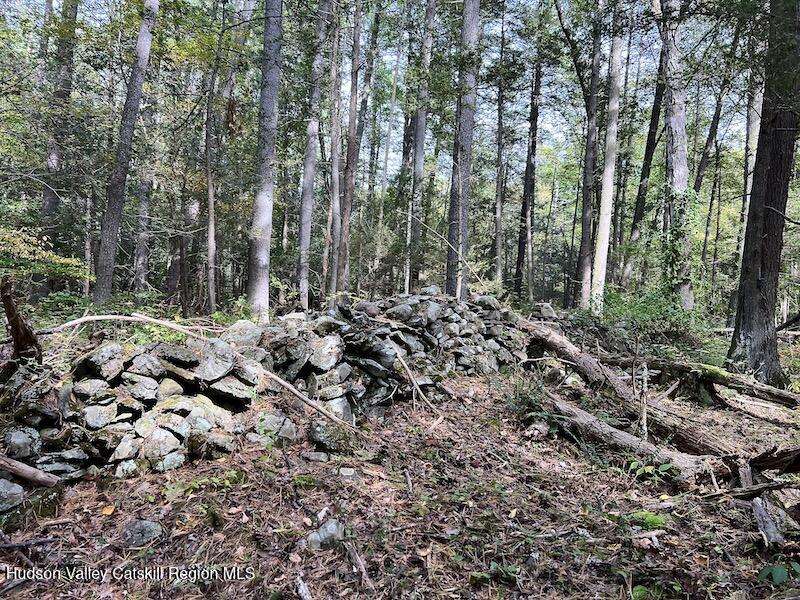 Tbd Whiteport Road Kingston, NY 12401 - Photo 5 of 9 IMG_8772