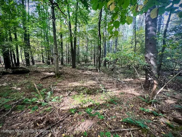 $150,000 | Tbd Whiteport Road, Kingston, NY 12401