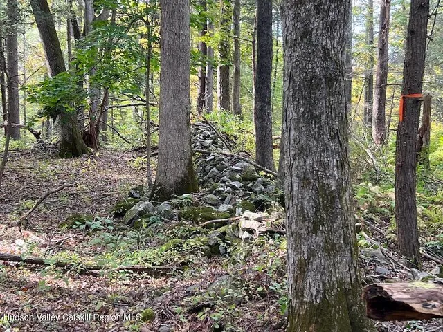 $150,000 | Tbd Whiteport Road, Kingston, NY 12401