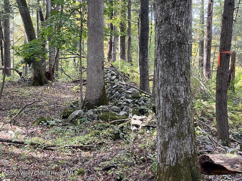 Tbd Whiteport Road Kingston, NY 12401 - Photo 7 of 9 IMG_8776