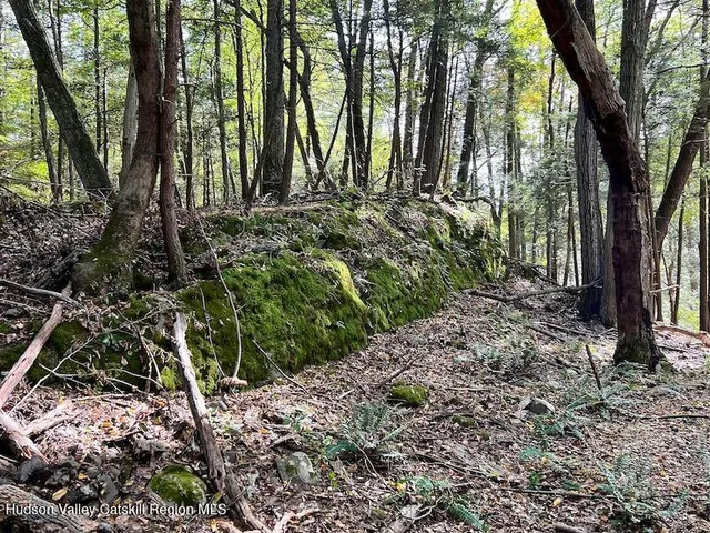 $150,000 | Tbd Whiteport Road, Kingston, NY 12401