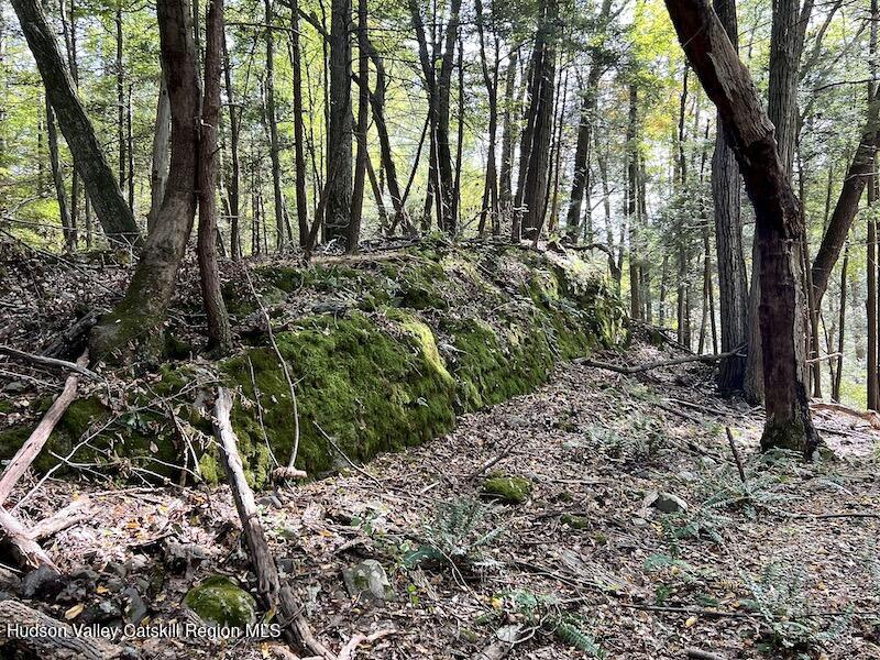 Tbd Whiteport Road Kingston, NY 12401 - Photo 8 of 9 IMG_8778