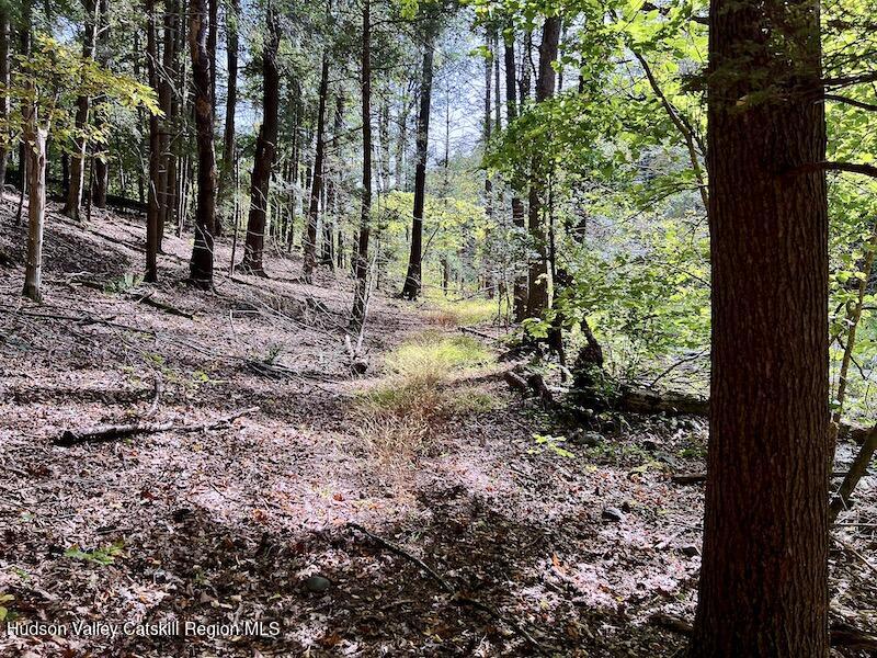 Tbd Whiteport Road Kingston, NY 12401 - Photo 9 of 9 IMG_8779