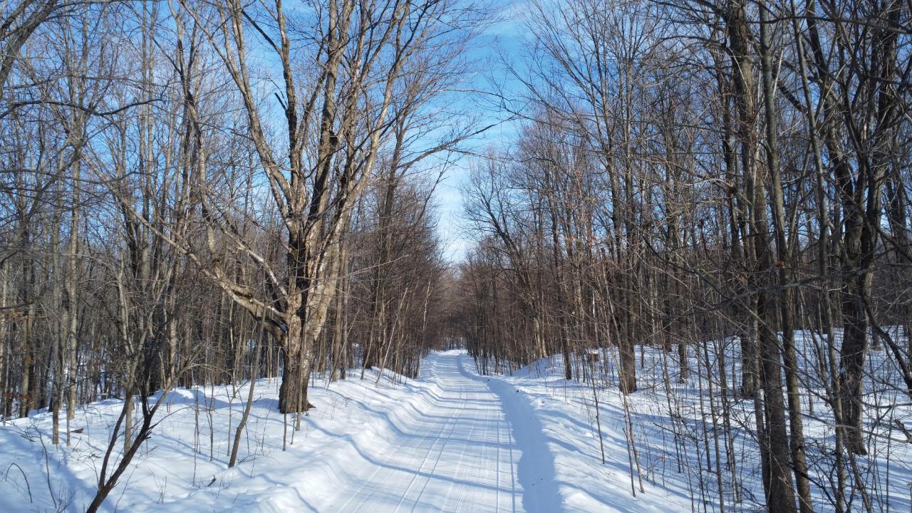 N2447 Maple Road Antigo, WI 54409 - Photo 6 of 44 Gallery Image 6