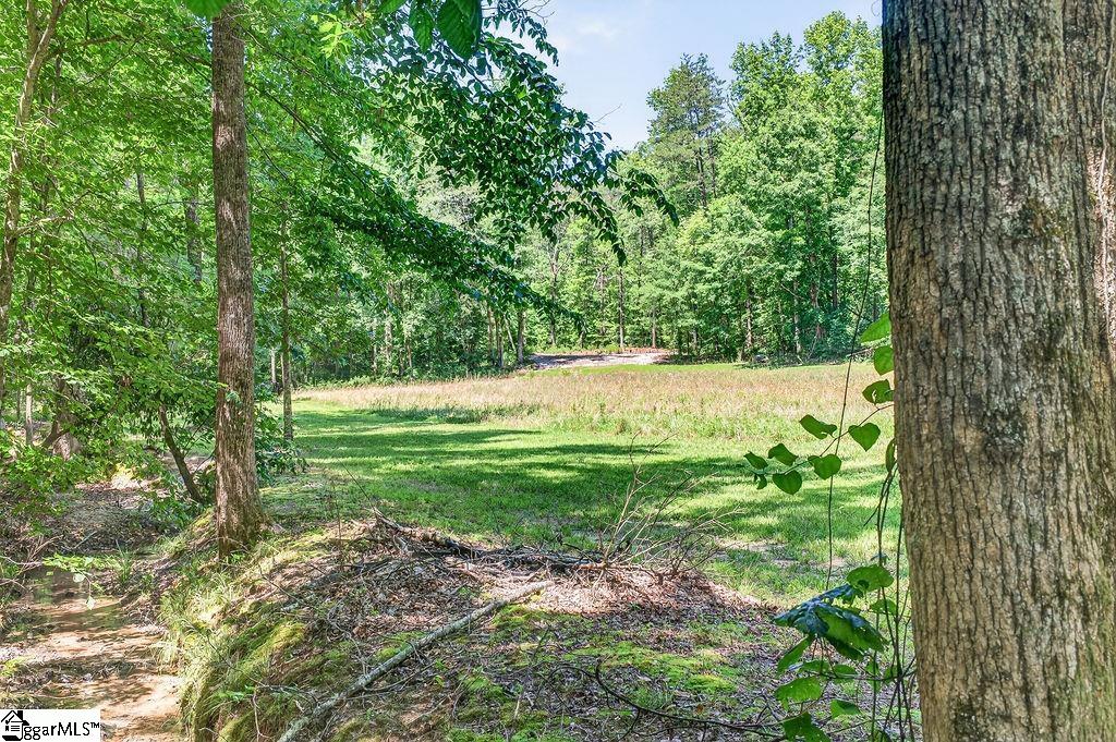 326 Arledge Road Landrum, SC 29356 - Photo 48 of 50
