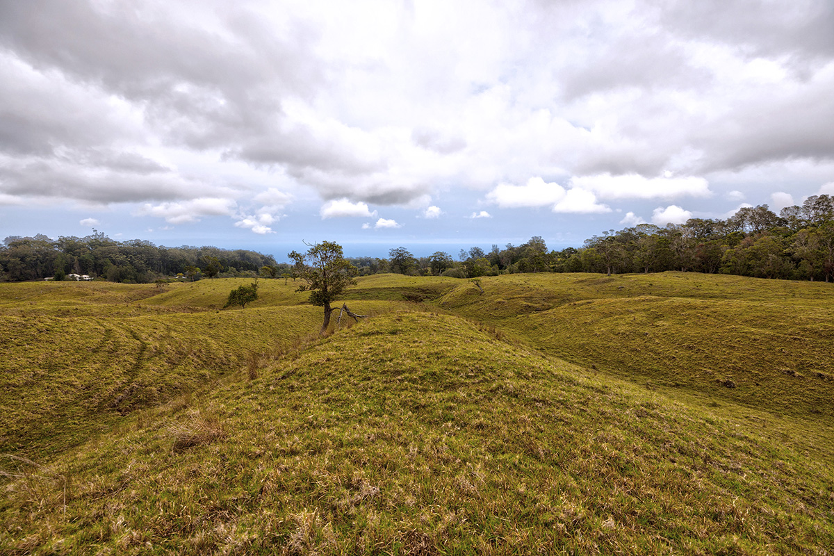 44-2135 Pohakealani Road Paauilo, HI 96776 - Photo 23 of 28 a view of an ocean