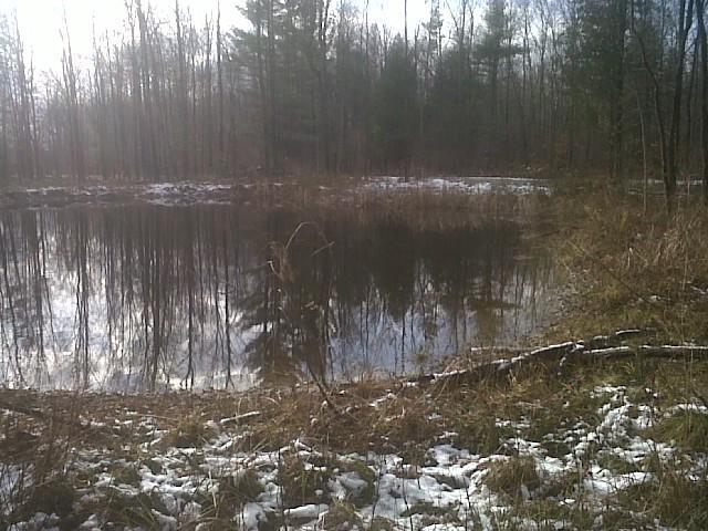 Joe Mack Trail Hesperia, MI 49421 - Photo 3 of 10 Additional Photo