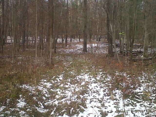 Joe Mack Trail Hesperia, MI 49421 - Photo 8 of 10 Additional Photo