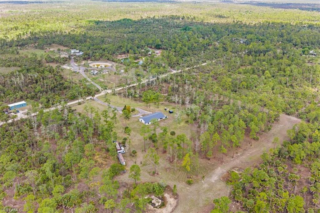 6070 Lee Williams Road Naples, FL 34117 - Photo 3 of 26 a view of a forest with an outdoor space