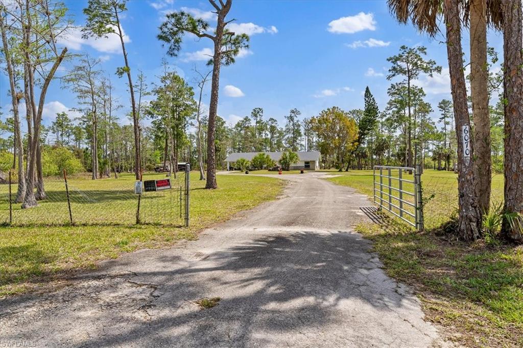 6070 Lee Williams Road Naples, FL 34117 - Photo 4 of 26 a view of a park