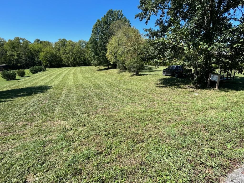 27 Brummitt Road Castalian Springs, TN 37031 - Photo 1 of 9 Gallery Image 1