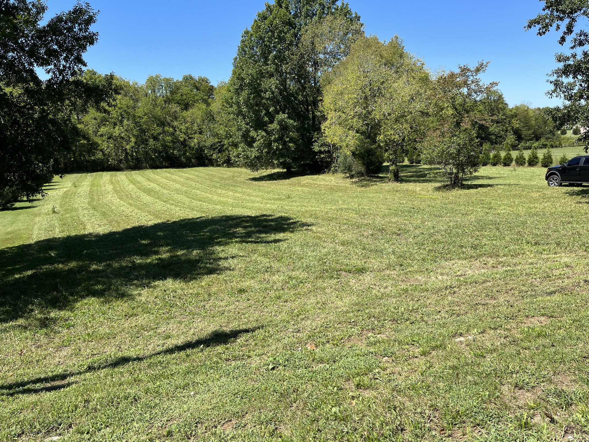 27 Brummitt Road Castalian Springs, TN 37031 - Photo 2 of 9 Gallery Image 2