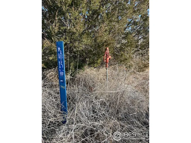 a close view of a sink