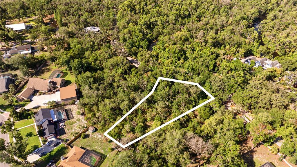 4710 Rambling River Road Brandon, FL 33511 - Photo 4 of 5
