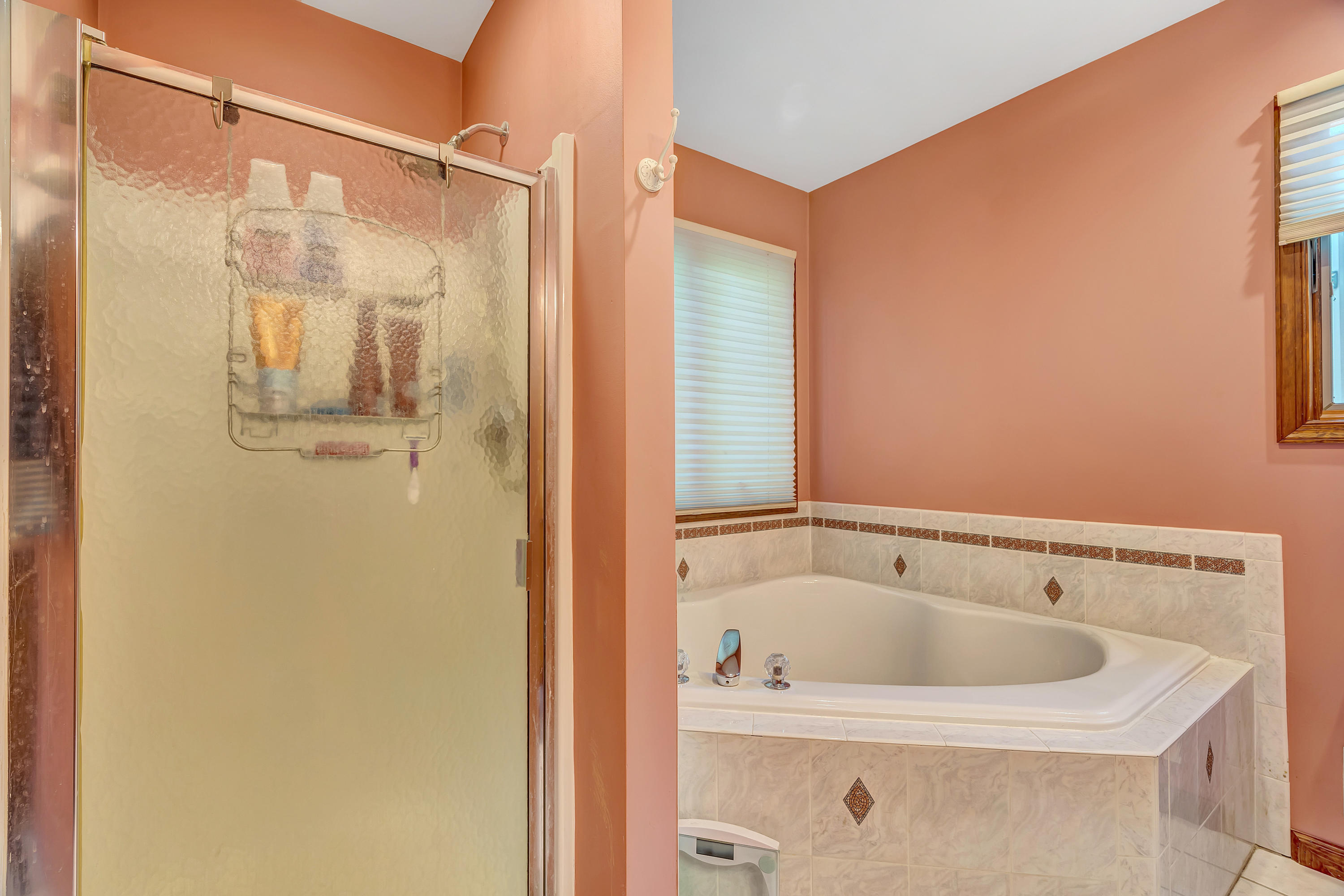 336 Clearstream Road Jackson, NJ 08527 - Photo 14 of 43 014_dsc00051_2_3_4_5