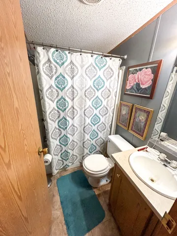 a bathroom with a sink toilet and shower curtain