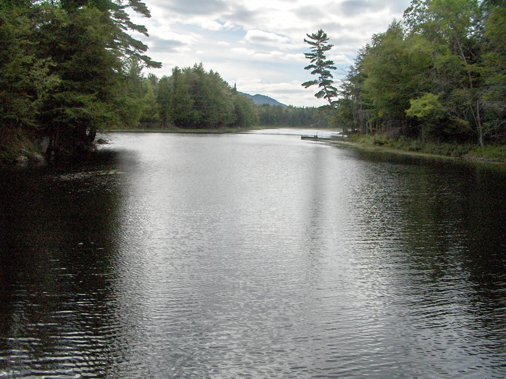29 Clear Pond Road Long Lake, NY 12847 - Photo 2 of 9 Gallery Image 2