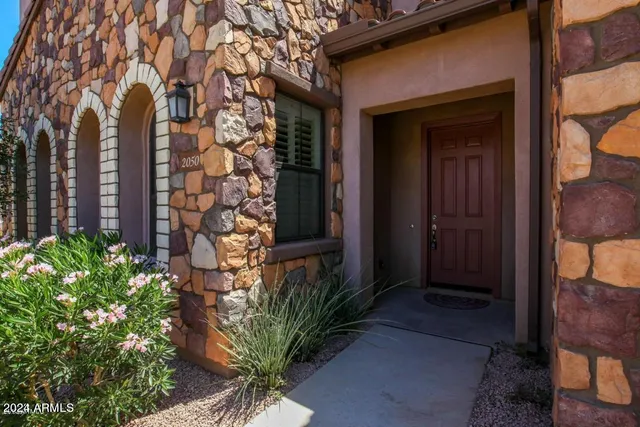 a potted plant in front of a door