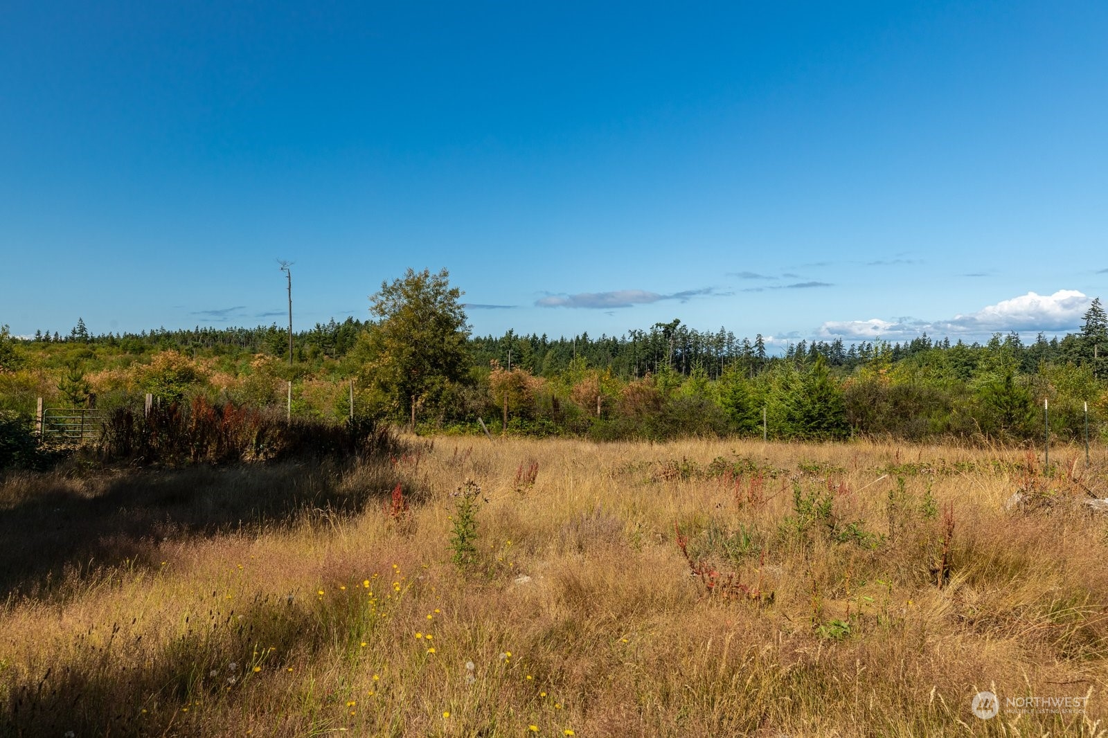 3598 North Wilson Road Oak Harbor, WA 98277 - Photo 5 of 33 Gallery Image 5