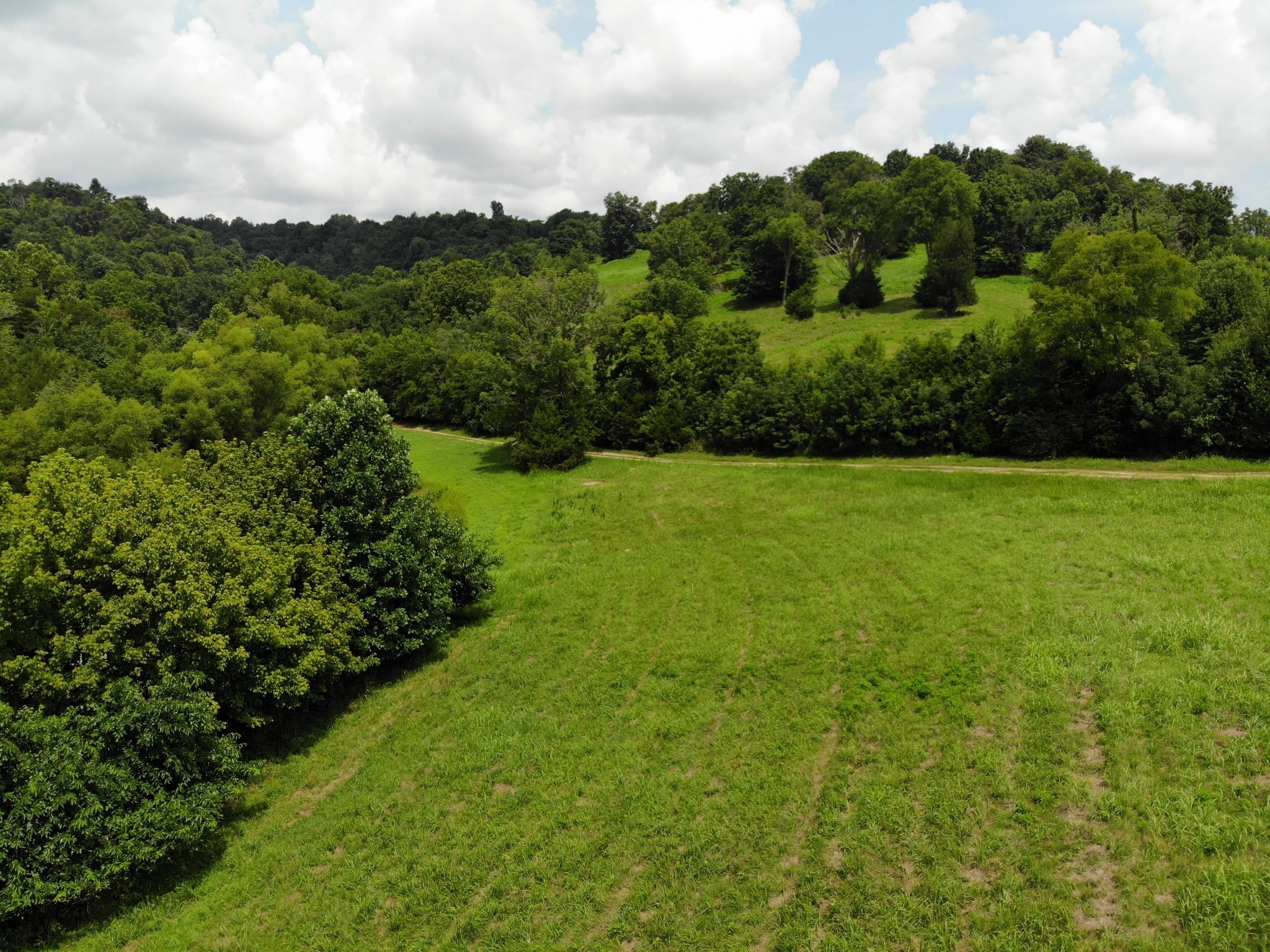 9 Old Lake Road Lewisburg, TN 37091 - Photo 5 of 6 Gallery Image 5