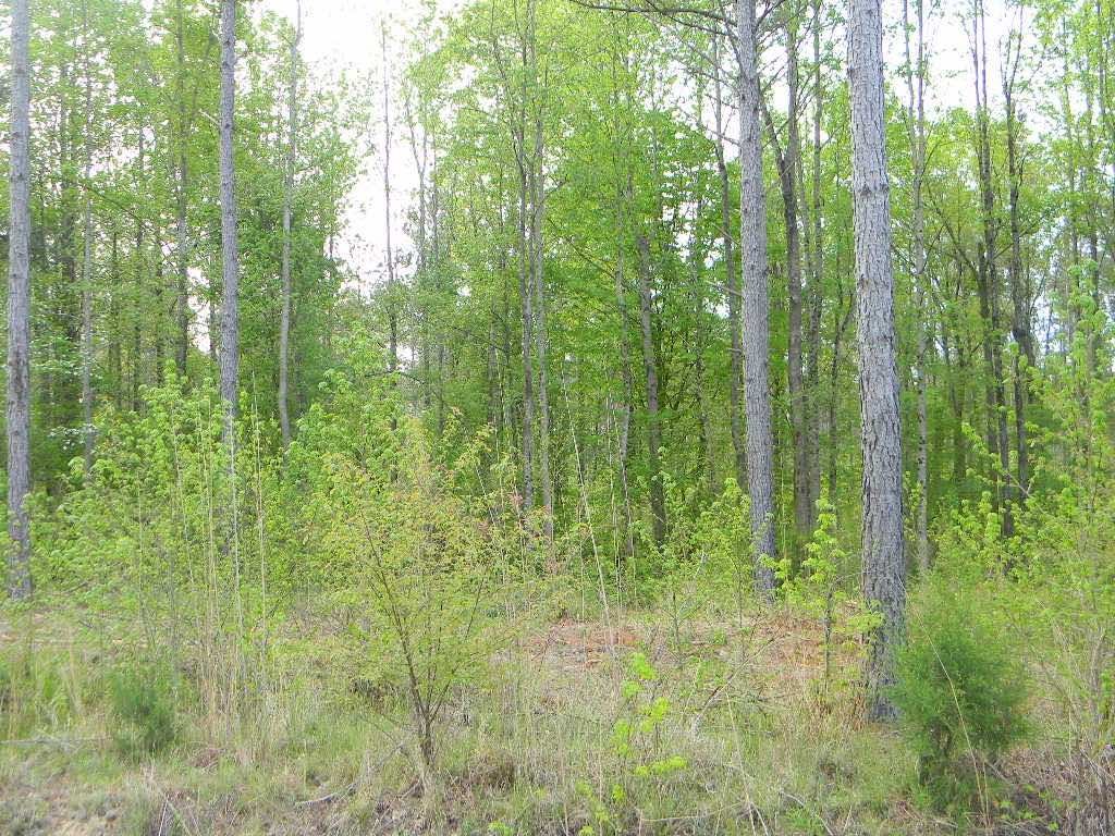 Na Old Shoals Junction Road Donalds, SC 29638 - Photo 3 of 8