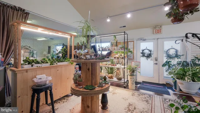 a view of a room with lots of potted plants