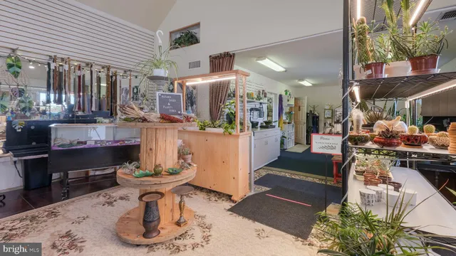 a work room with furniture and a potted plant