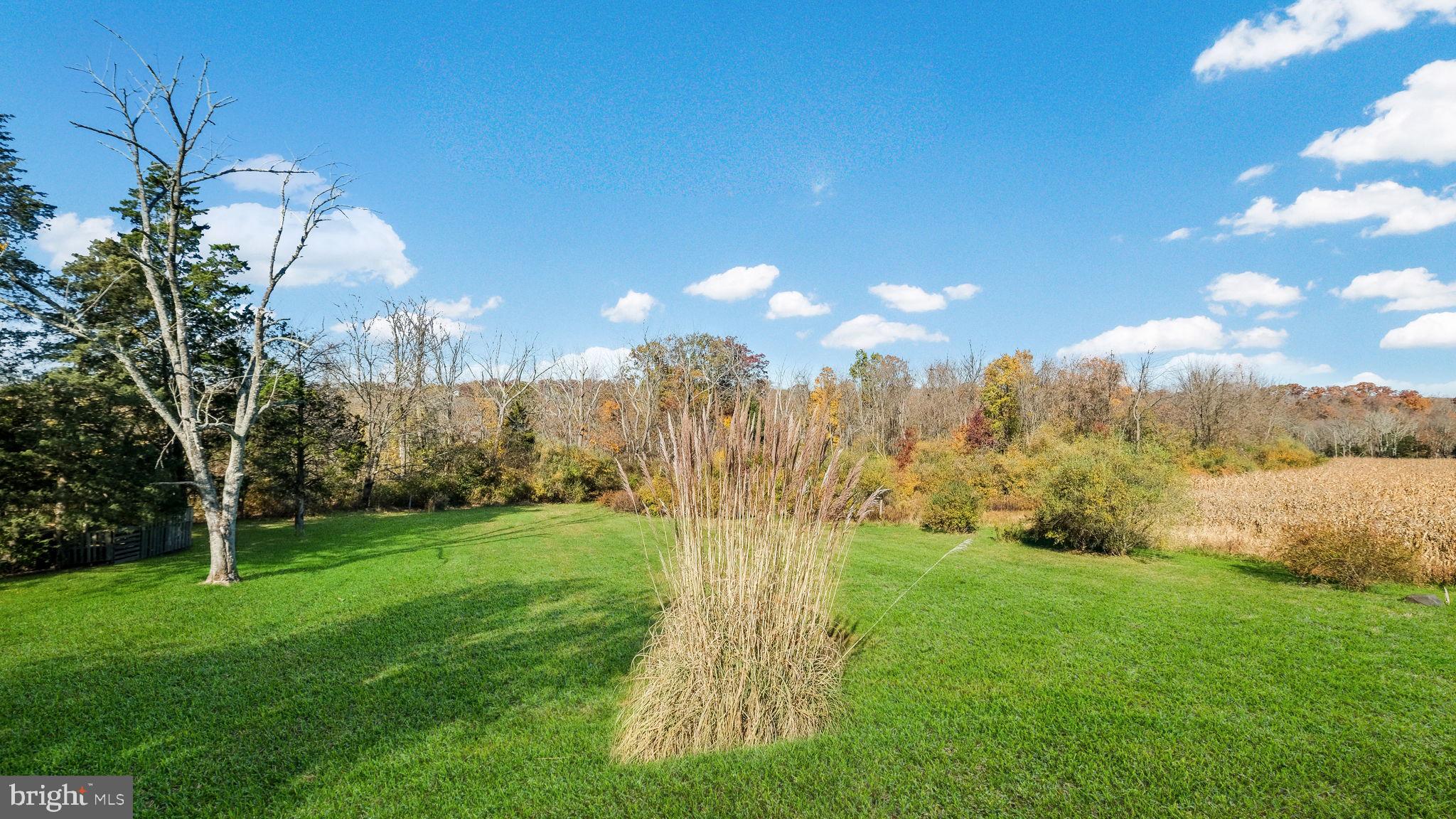 7078 Easton Road Pipersville, PA 18947 - Photo 42 of 45 a view of a city with large trees