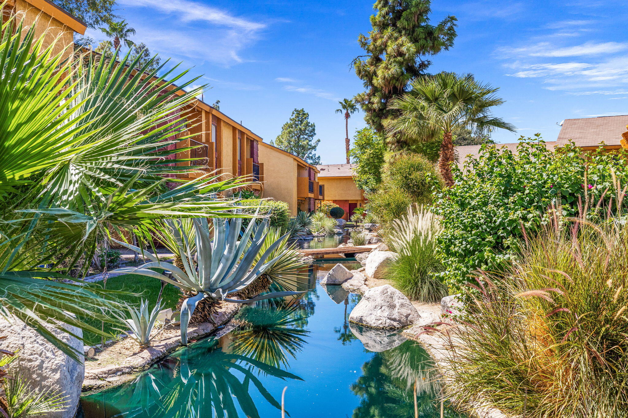 48255 Monroe Street, Unit 59 Indio, CA 92201 - Photo 35 of 58 a view of a palm plant that is in front of a building