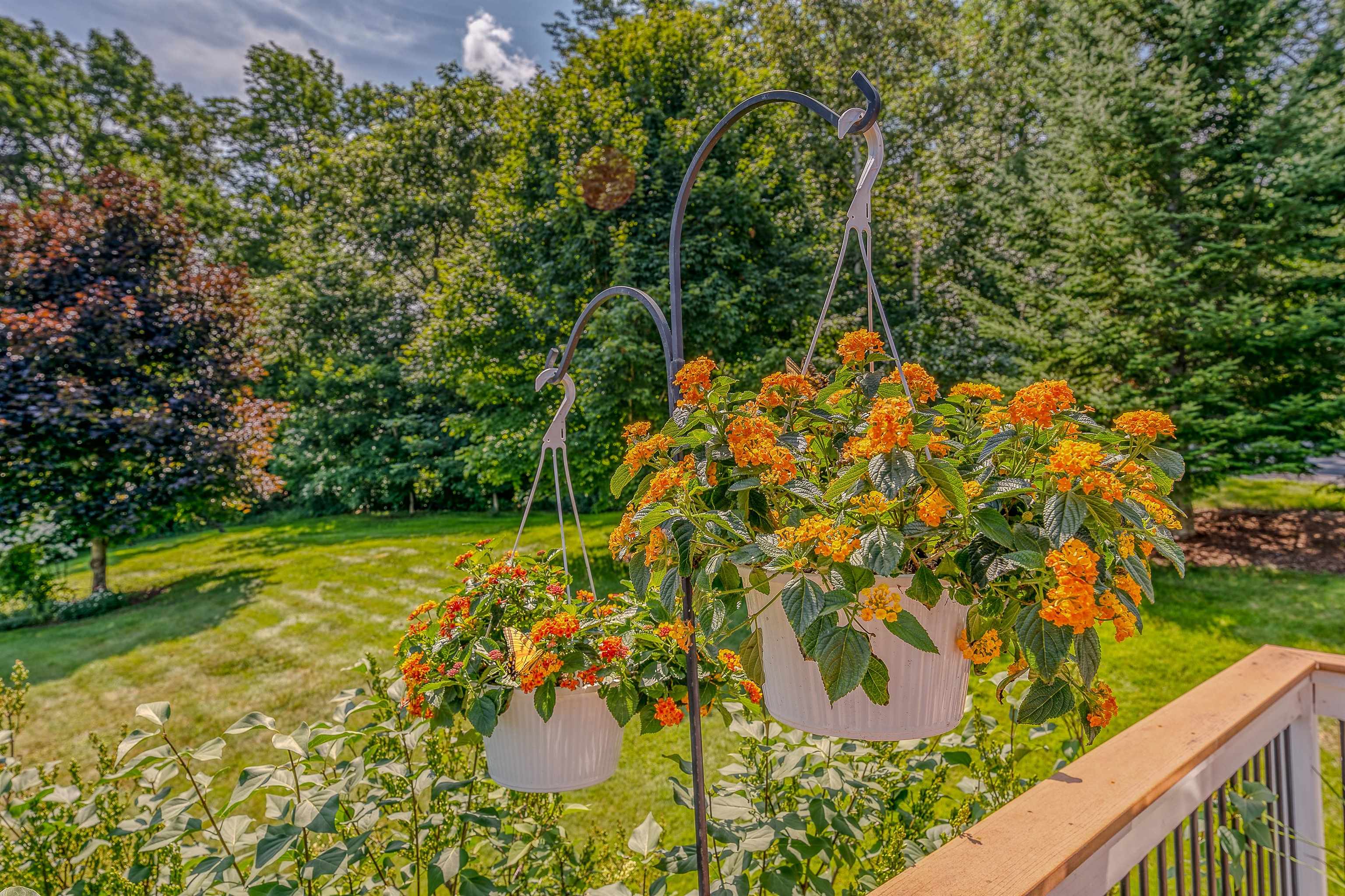 56 Dyke Road Sugar Hill, NH 03586 - Photo 34 of 39 Gallery Image 34