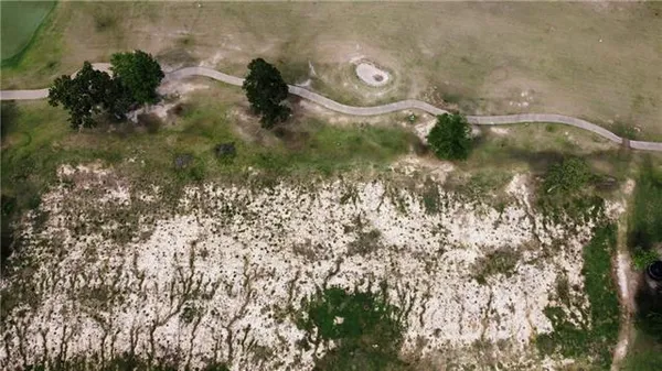 $250,000 | Tbd Noble Oak Drive, Springfield, LA 70462