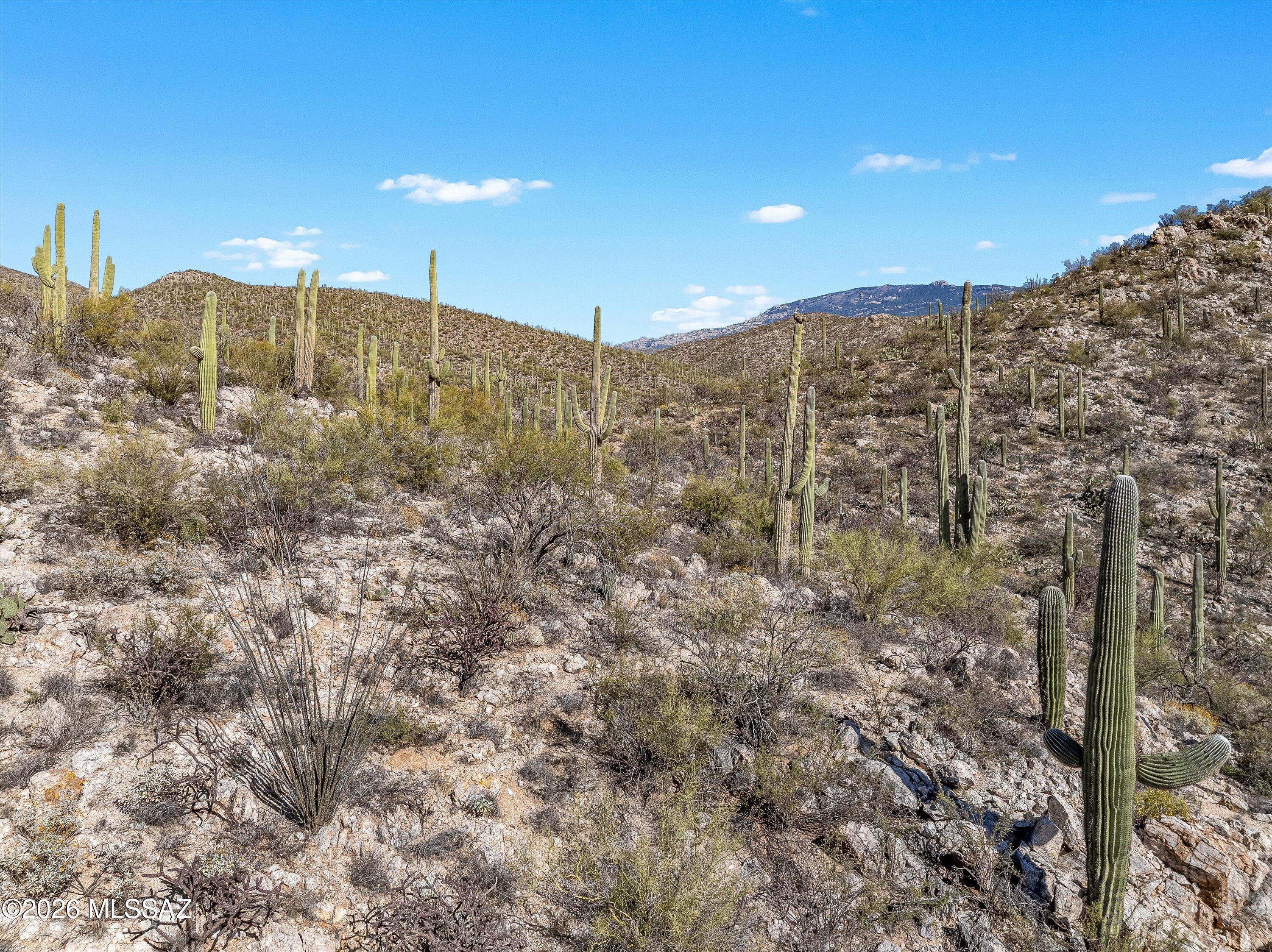 13716 Placita Del Inca, Unit 8 Tucson, AZ 85749 - Photo 35 of 37
