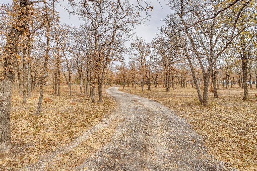 2780 Pear Orchard Road Granbury, TX 76048 - Photo 6 of 40 a view of empty space with large trees
