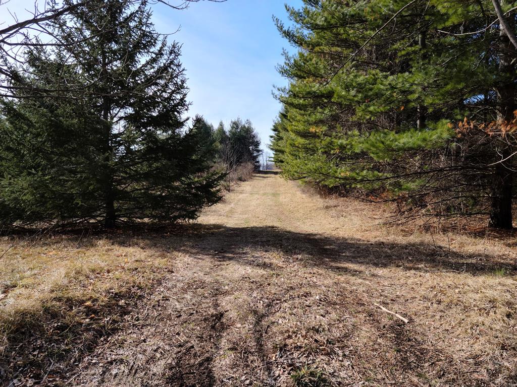 Tbd Juddville Road Fish Creek, WI 54212 - Photo 1 of 1