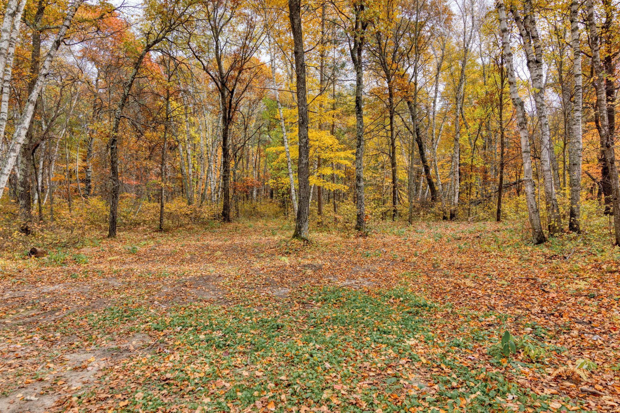 Lot 4 Little Pine Road Southwest Brainerd, MN 56401 - Photo 1 of 1 Gallery Image 1