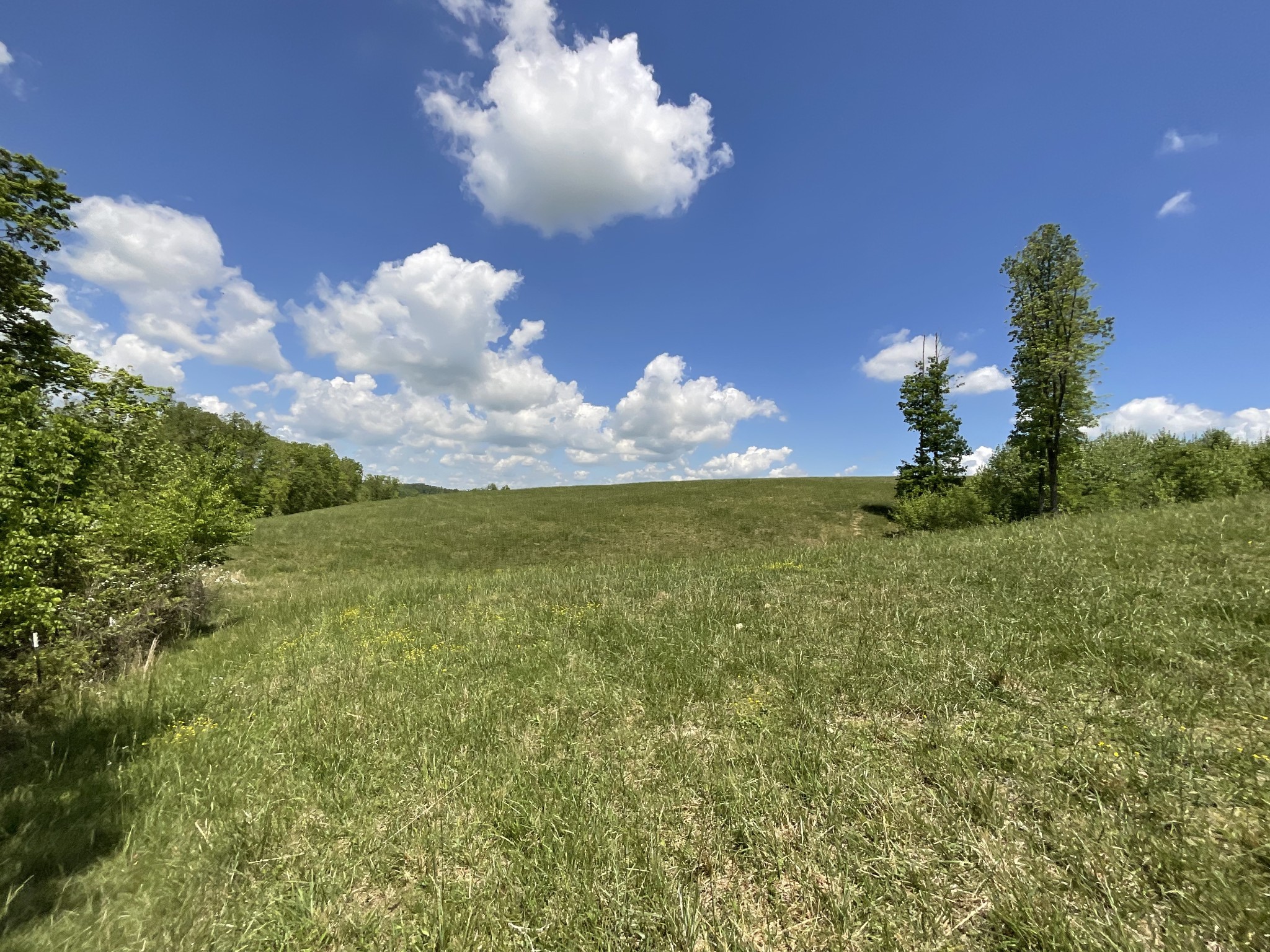 1 Brigham Branch Road Erin, TN 37061 - Photo 11 of 42 Gallery Image 11