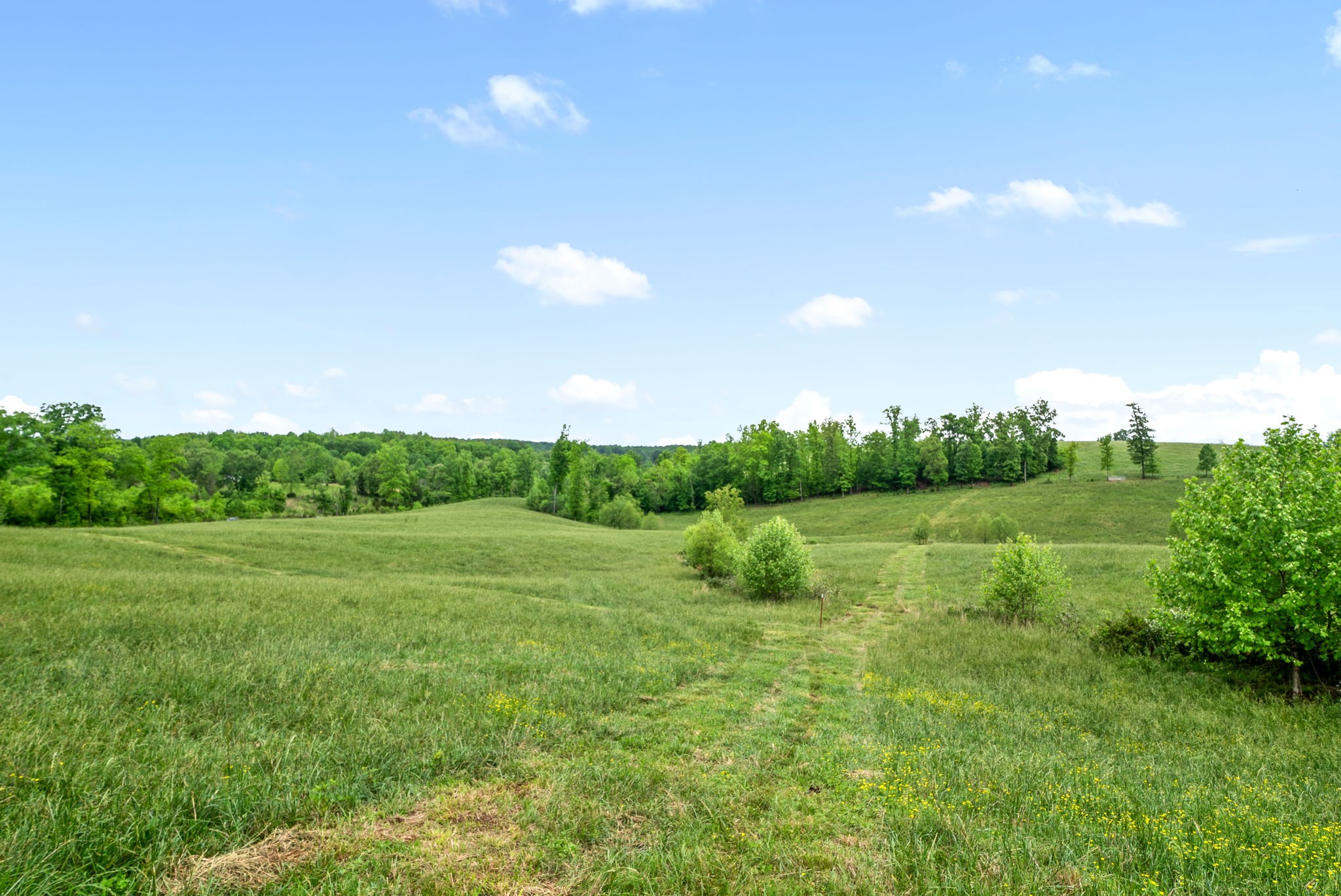 1 Brigham Branch Road Erin, TN 37061 - Photo 13 of 42 Gallery Image 13