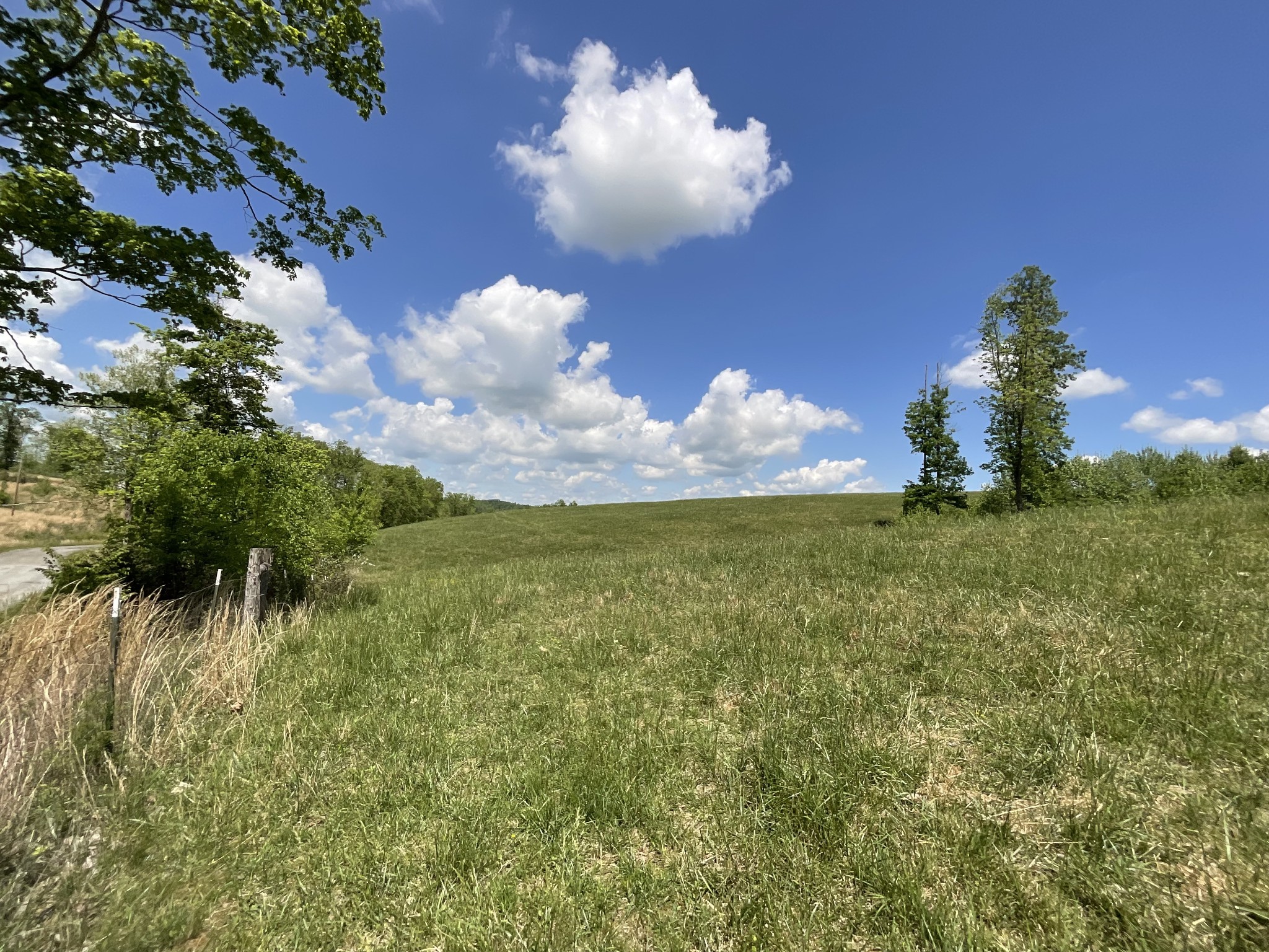 1 Brigham Branch Road Erin, TN 37061 - Photo 14 of 42 Gallery Image 14