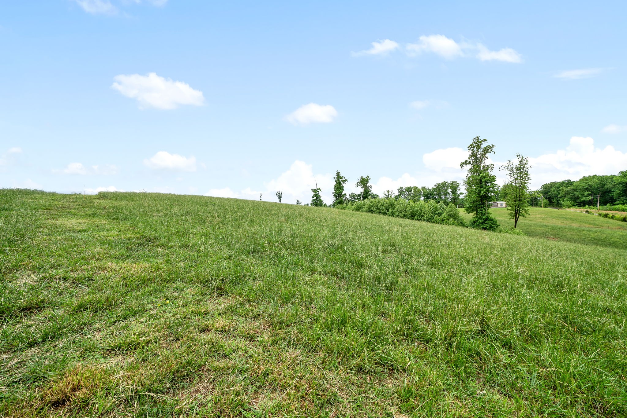 1 Brigham Branch Road Erin, TN 37061 - Photo 16 of 42 Gallery Image 16