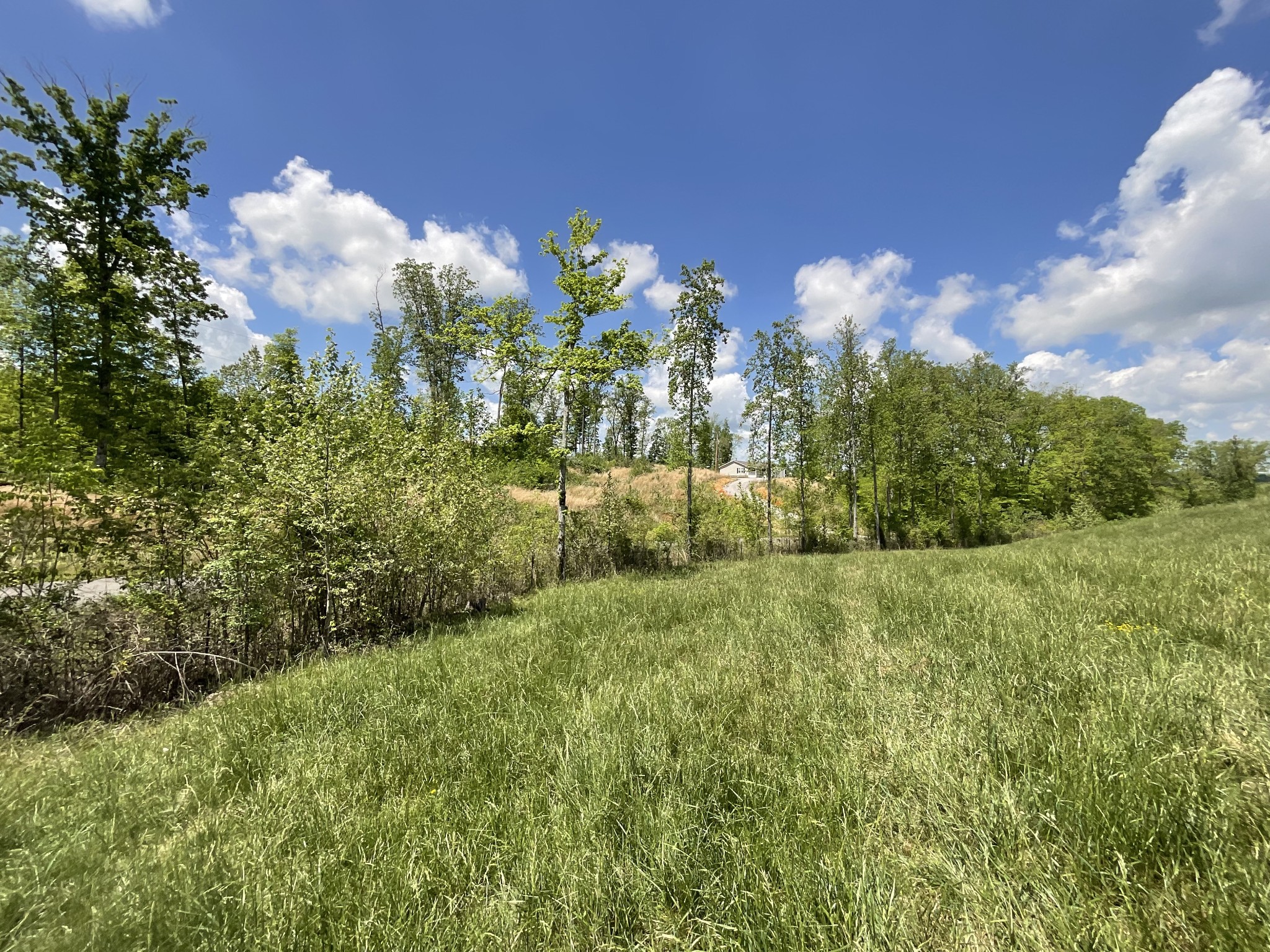 1 Brigham Branch Road Erin, TN 37061 - Photo 17 of 42 Gallery Image 17