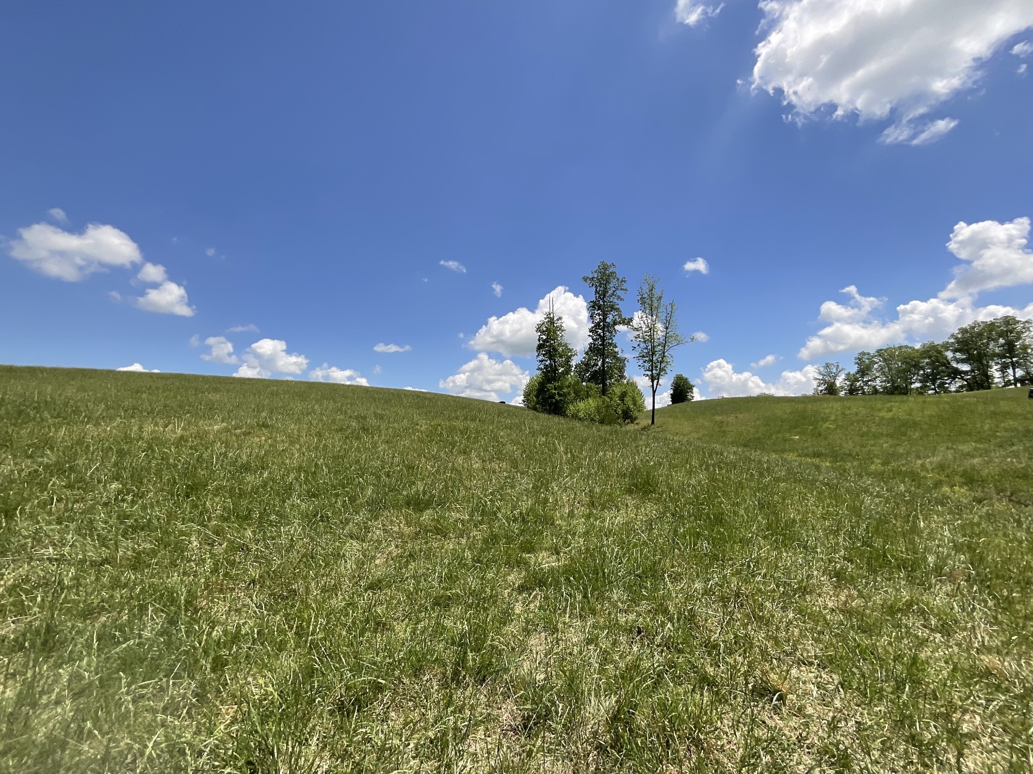 1 Brigham Branch Road Erin, TN 37061 - Photo 18 of 42 Gallery Image 18