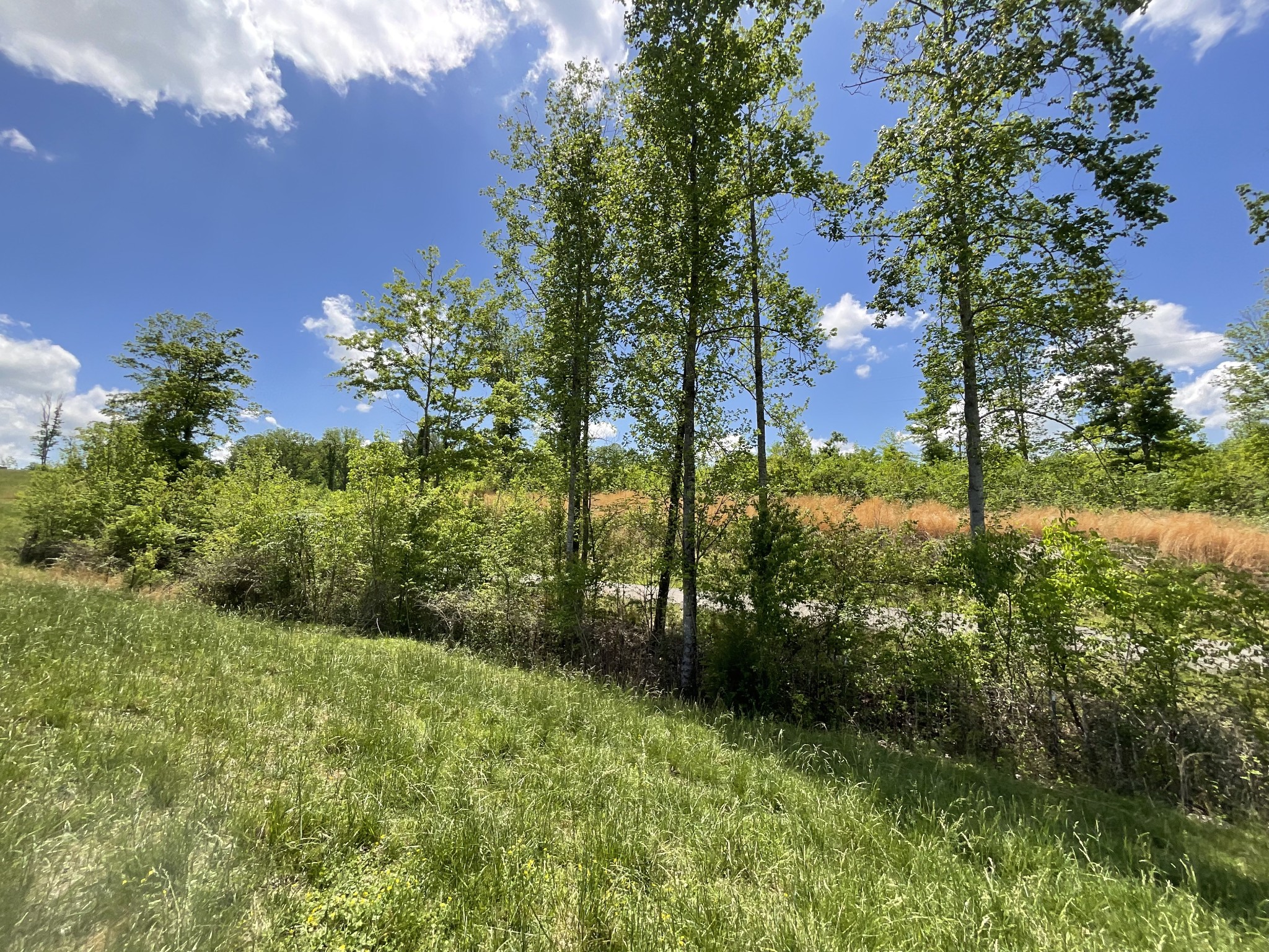 1 Brigham Branch Road Erin, TN 37061 - Photo 19 of 42 Gallery Image 19