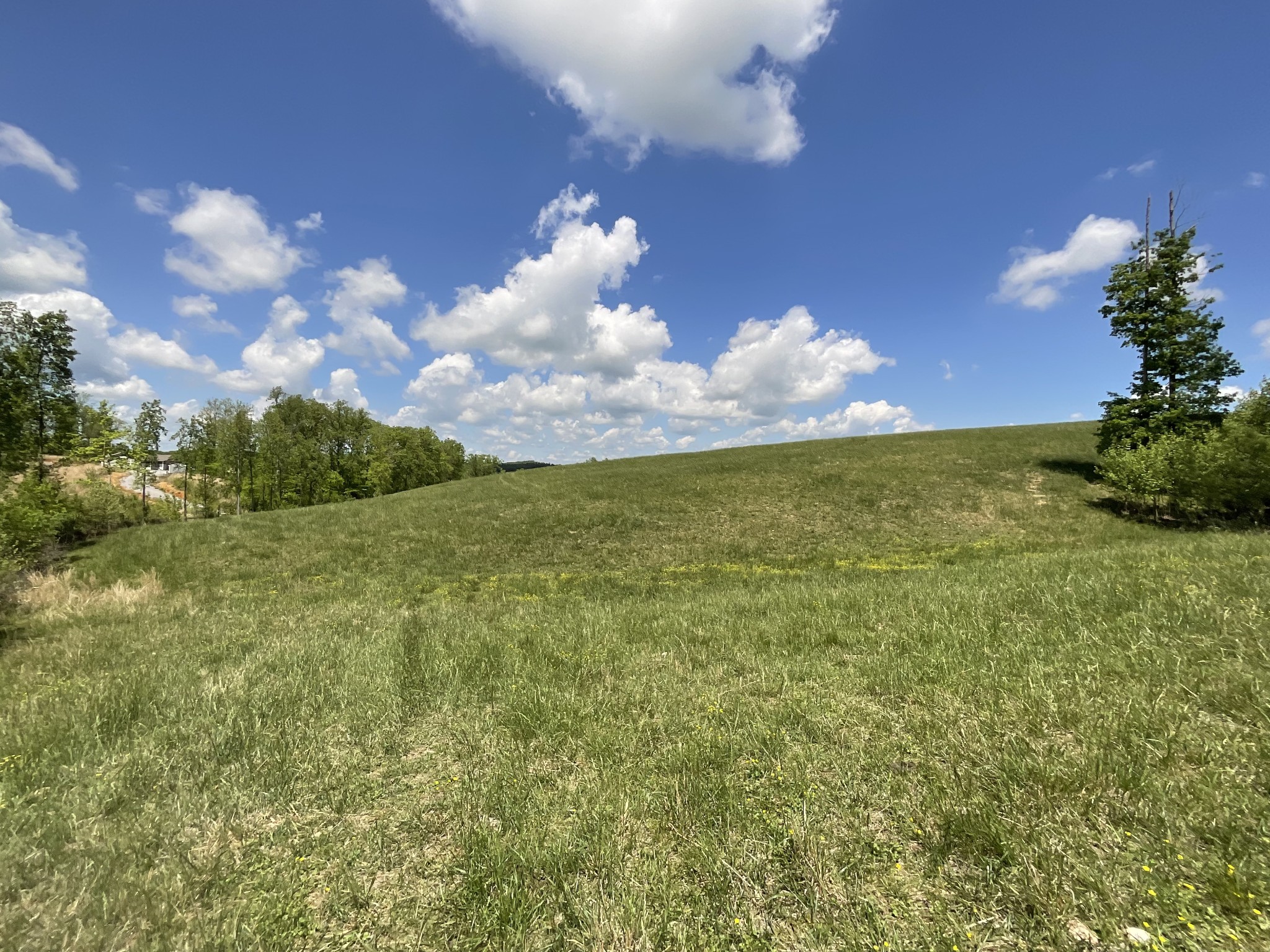 1 Brigham Branch Road Erin, TN 37061 - Photo 20 of 42 Gallery Image 20