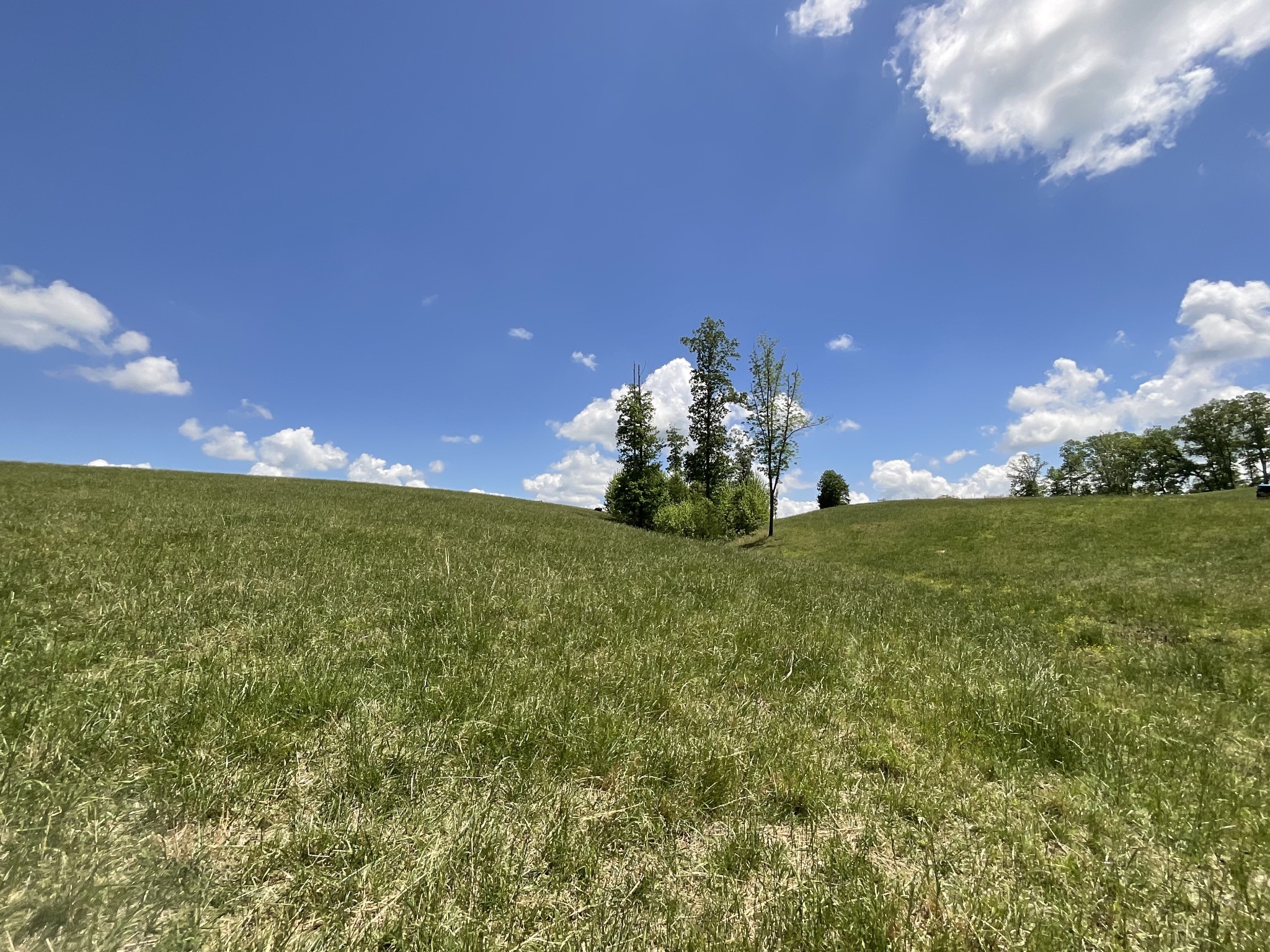 1 Brigham Branch Road Erin, TN 37061 - Photo 21 of 42 Gallery Image 21