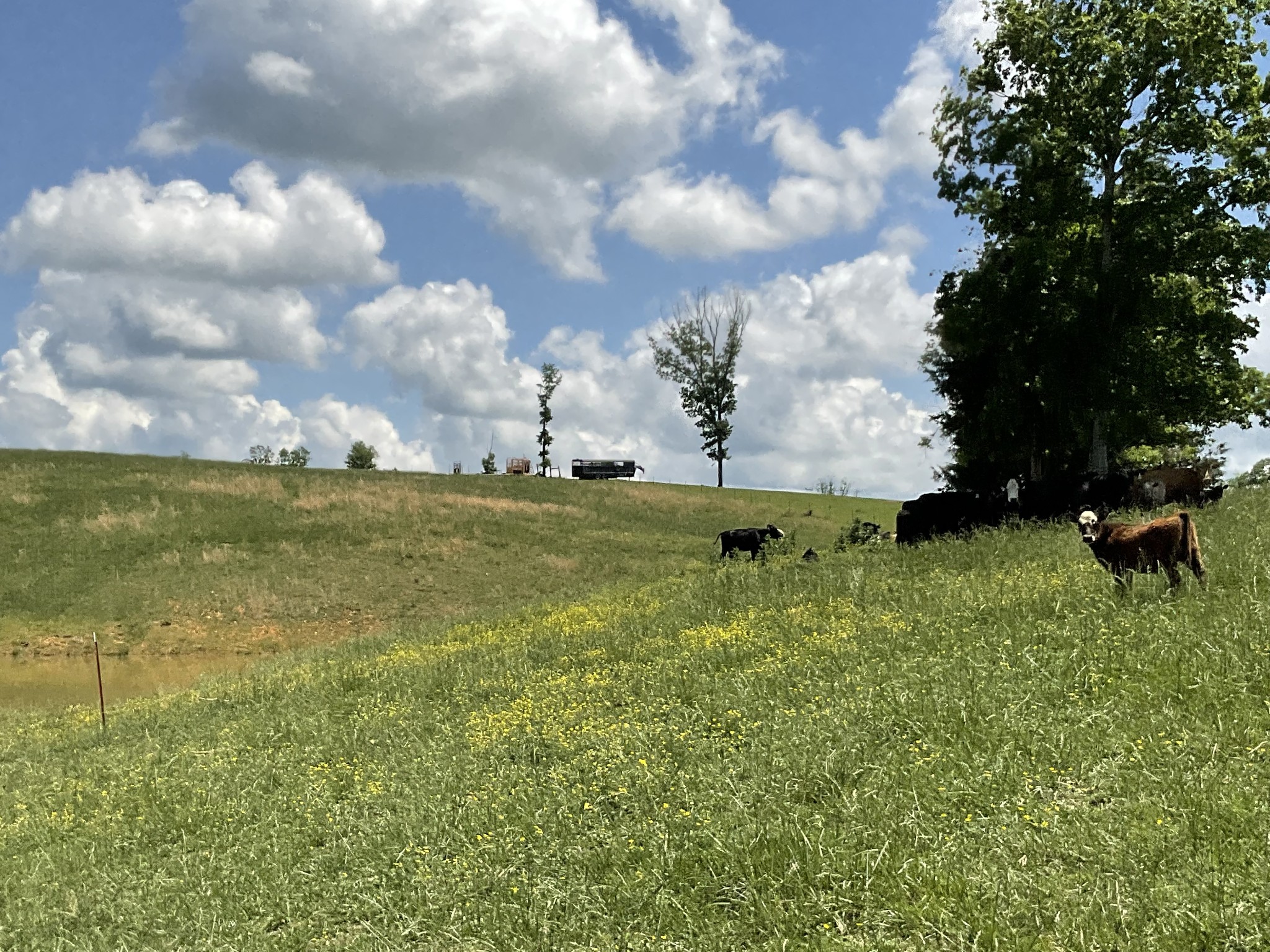 1 Brigham Branch Road Erin, TN 37061 - Photo 24 of 42 Gallery Image 24