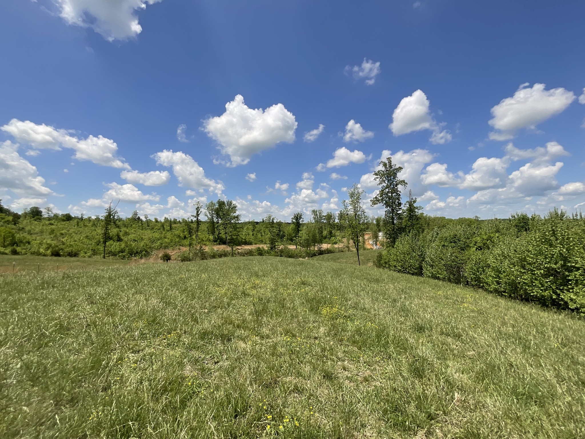 1 Brigham Branch Road Erin, TN 37061 - Photo 25 of 42 Gallery Image 25